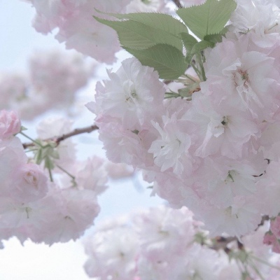 Furry角色动作设计FurryQQ群